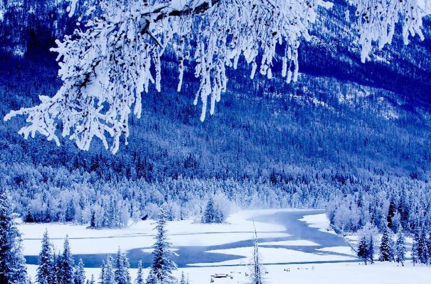 阿勒泰地區"最美雪鄉"靚照國內數十家旅游網和旅行社推出中國十大最美雪鄉，新疆阿勒泰地區因為雪資源豐富被稱為“人類滑雪最早起源地”有幸入選中國十大最美雪鄉。